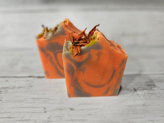 Handmade Soap - Citrus and Driftwood