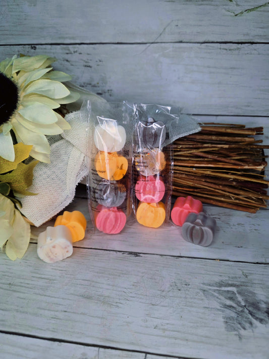 Fall Wax Melt Sampler